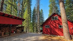A red cabin with a gravel driveway, surrounded by tall pine trees.