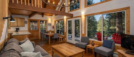 Smart TV, chimenea, reproductor de DVD y libros