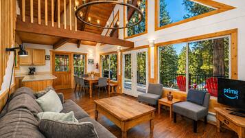 Smart TV, fireplace, DVD player, books