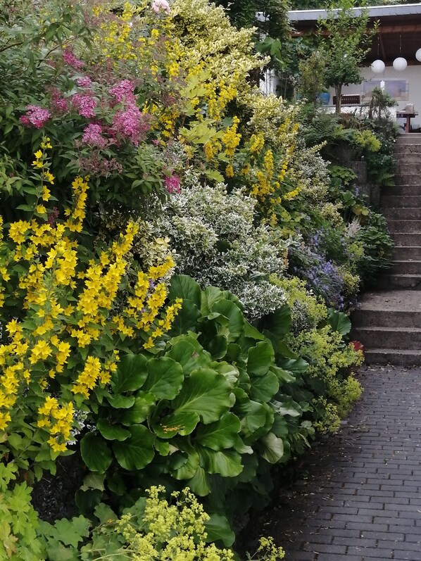 Property grounds - Cozy, bright apartment in a very quiet location (Detmold)