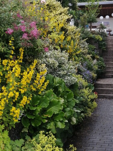 Gemütliche helle Wohnung in sehr ruhiger Lage