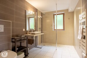A modern bathroom with a glass shower enclosure, a vanity with a mirror, and a toilet. - LE CHALET DU PIC :PRIVATE SPA.mountain views and Mt Blanc.near Les Gets and Samoens. (Taninges)