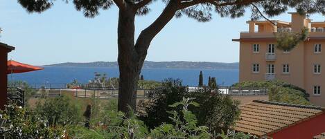 Vistas desde el alojamiento