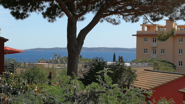 A coastal view with a large tree, a building with balconies, and a clear blue sea in the background.
