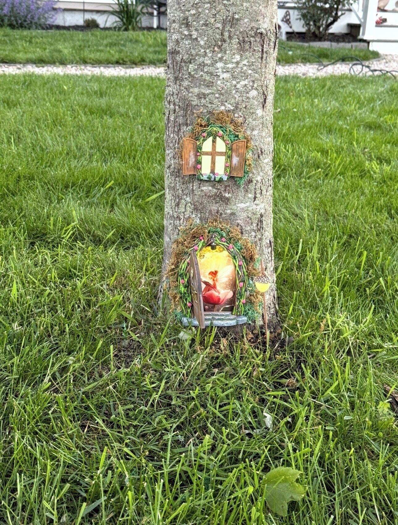 A tree with two fairy-tale inspired decorations: a window and a door.