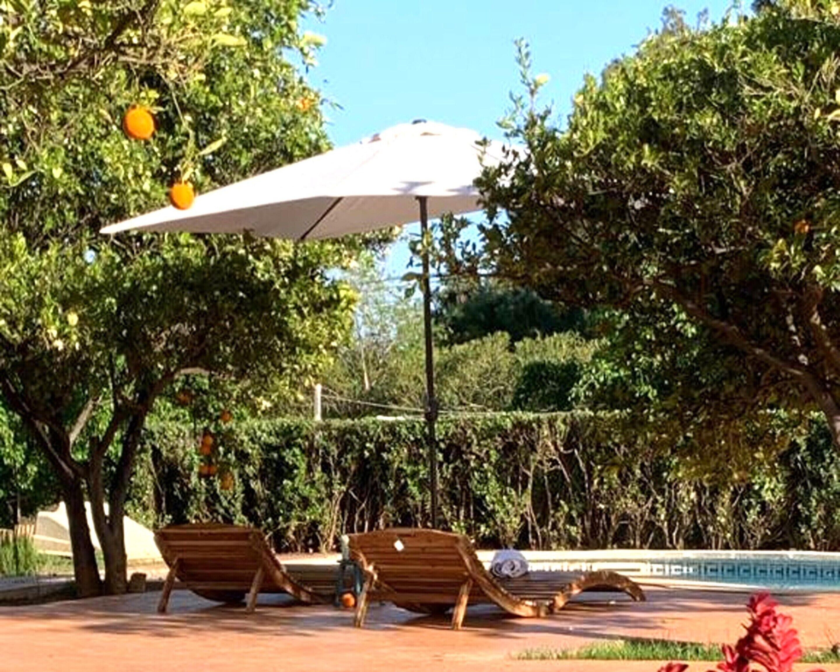 House | Pool | Indoor pool, outdoor pool