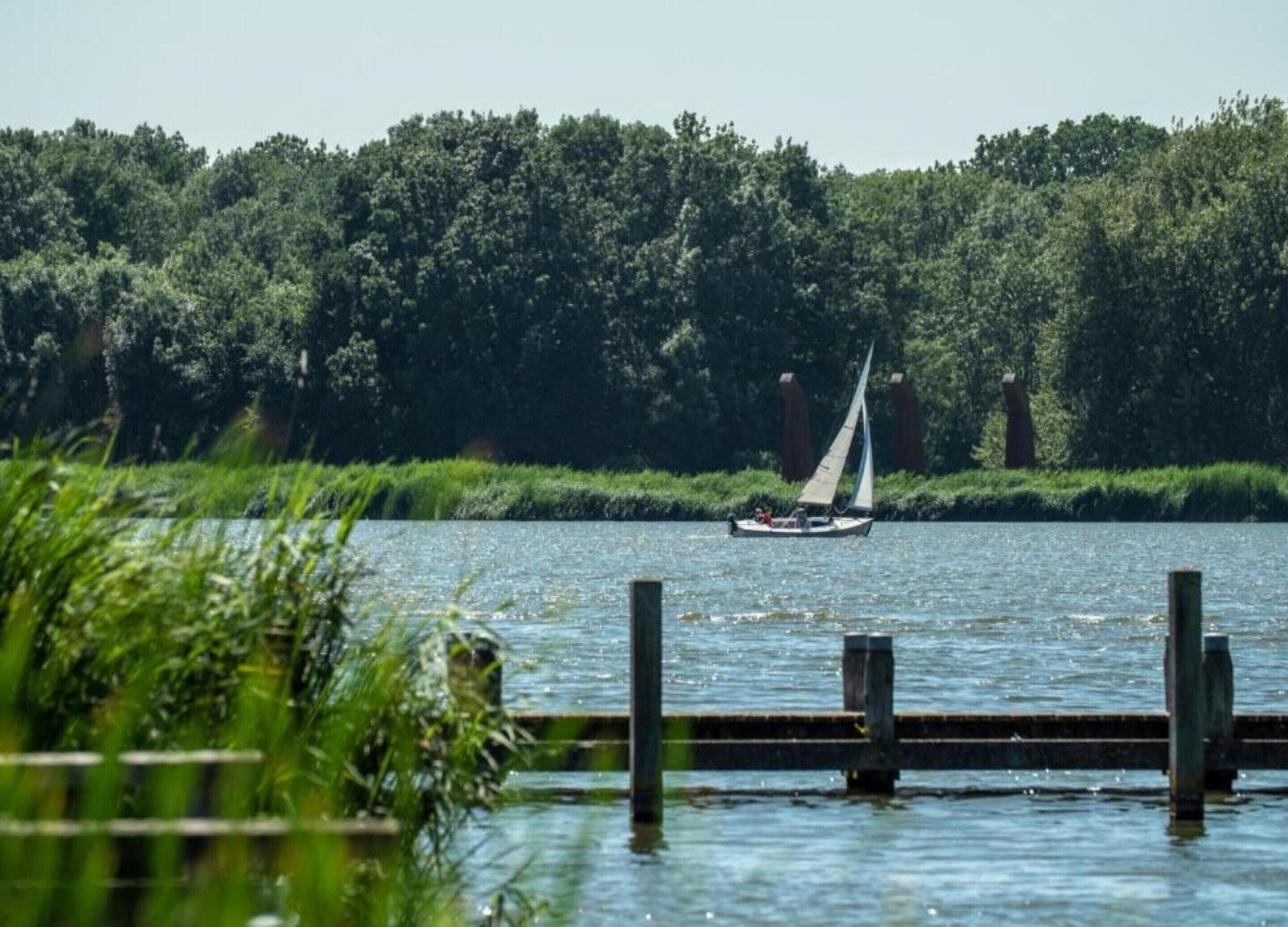 Een rustig meer met een zeilboot in de verte, omgeven door weelderige begroeiing en een steiger op de voorgrond.
