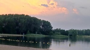A calm lake with ducks, surrounded by trees and a sandy shore. - Holiday Home in Zevenhuizen Near Rottemeren (Zevenhuizen)