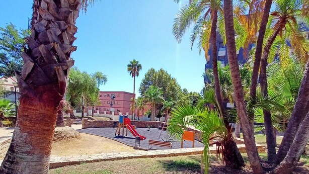 A playground with a slide and a bench, surrounded by palm trees and a building in the background.