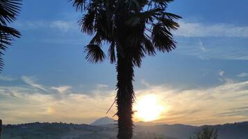 Área da propriedade