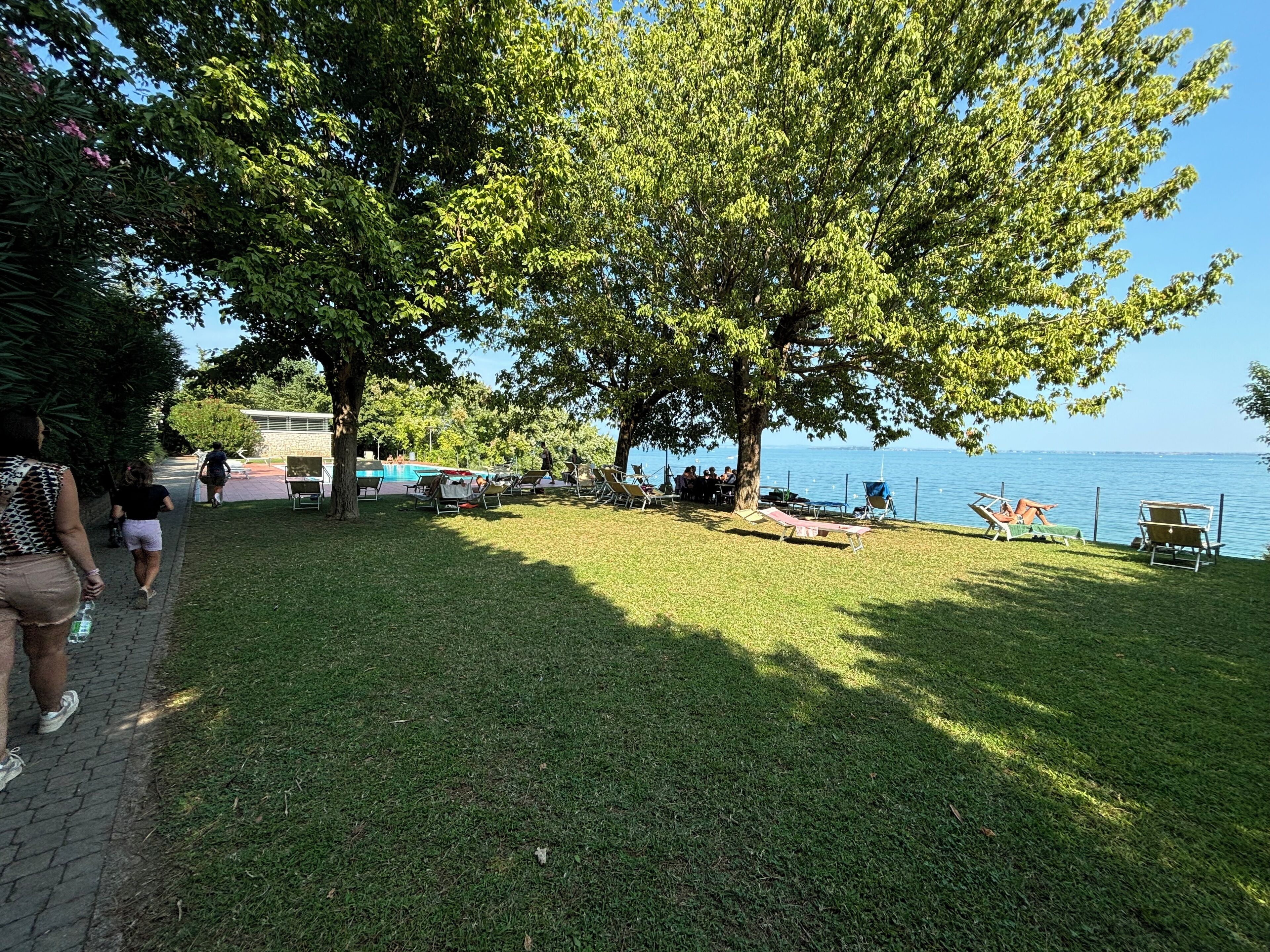 Un'area verdeggiante con piscina e lettini, un grande albero e vista sull'acqua.