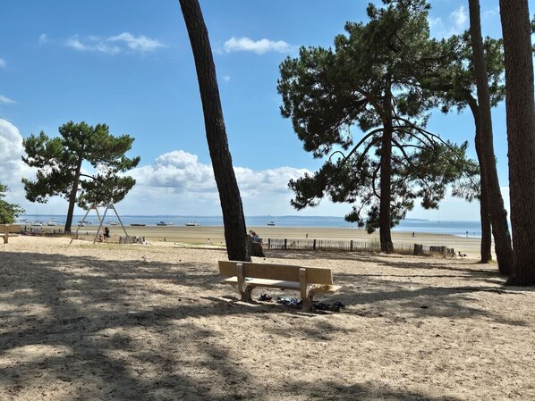 Relax on a tranquil beach with a bench, surrounded by trees and a clear sky, perfect for leisure activities.