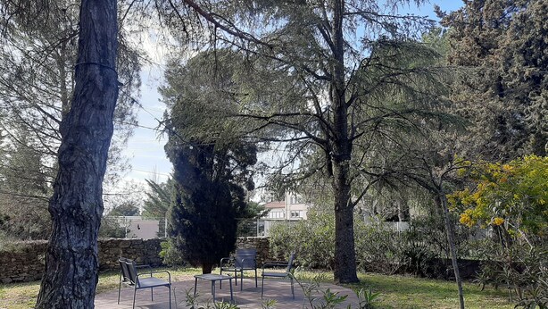 A circular wooden deck with metal railings, surrounded by trees and grass.