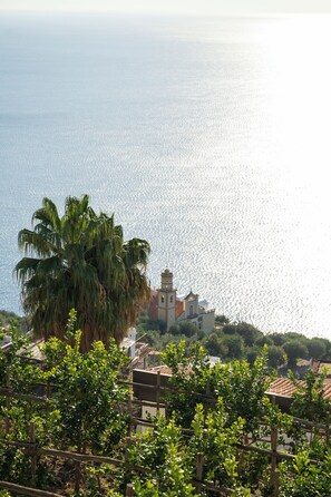 Vue depuis l’hébergement