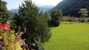 Ein grasbewachsenes Feld mit einem Baum im Vordergrund und Bergen im Hintergrund.