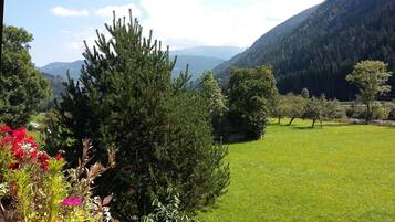 House | View from property