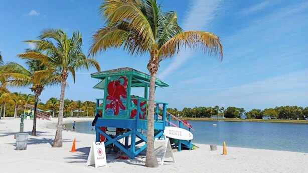 A lifeguard tower with a red octopus mural, situated on a sandy beach with palm trees and a calm body of water in the background. - Bright and Cozy Home in Homestead (Homestead)