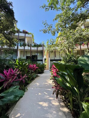 Terrain de l’hébergement 