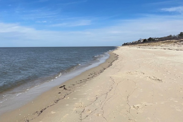 Sun loungers, beach towels
