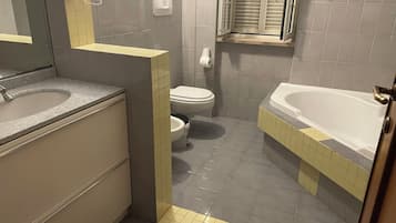 Shower, hair dryer, bidet, towels