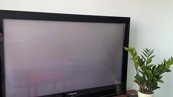 Television