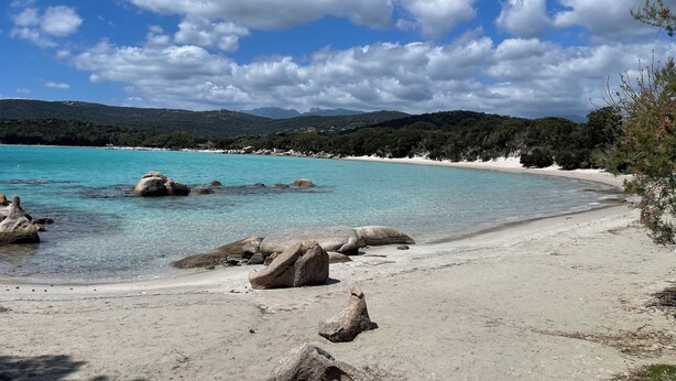 Ein Strand mit klarem türkisfarbenem Wasser, großen Felsen und einem Sandufer.