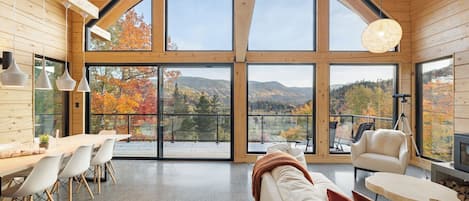 Télévision, cheminée, baby-foot, chaîne hi-fi