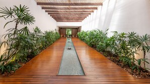 A corridor with wooden flooring, green plants on either side, and a central water feature.