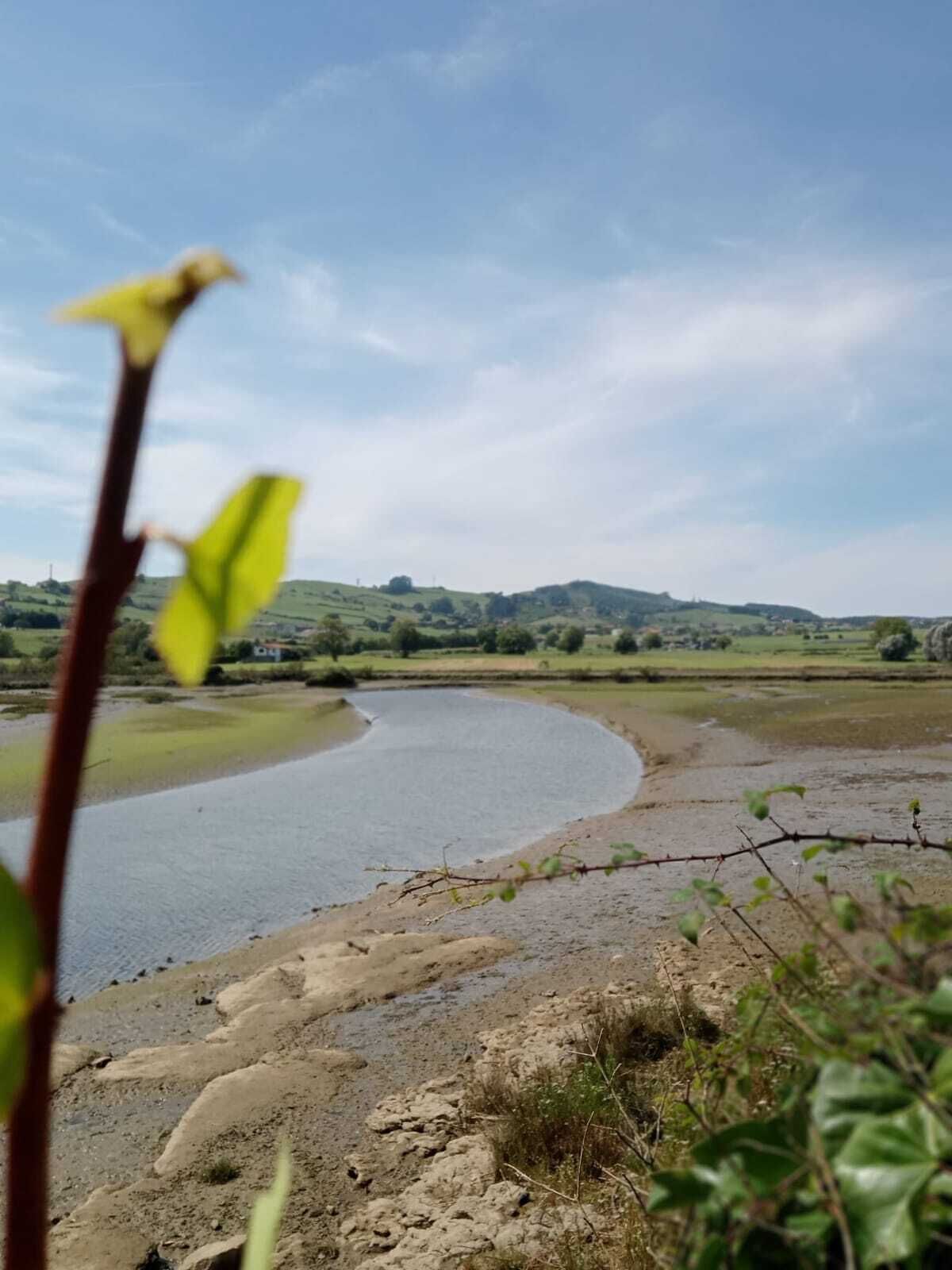 Een rivier die zich kronkelend slingert door een landelijk gebied, met glooiende heuvels op de achtergrond.