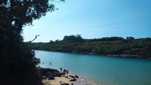 Una playa con agua cristalina, costa rocosa y vegetación exuberante al fondo.