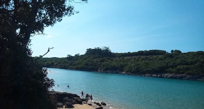 Cottage at the foot of the estuary near the private beach (suitable for pets).