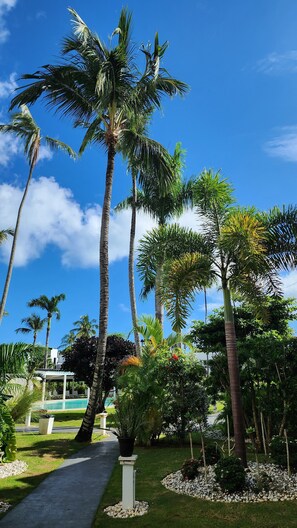 Property grounds - Aligio - A Quiet Retreat in Paradise - 2 BR, 2 pools, WiFi, AC, Private Hot Tub (Las Terrenas)