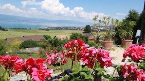 A garden with red flowers, a view of houses, and a body of water in the distance. - Chalet ideal for relaxing, with breathtaking lake and mountain views (Châtillon)