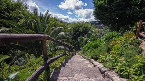 Una escalera de piedra rodeada de abundante vegetación y barandilla de madera.