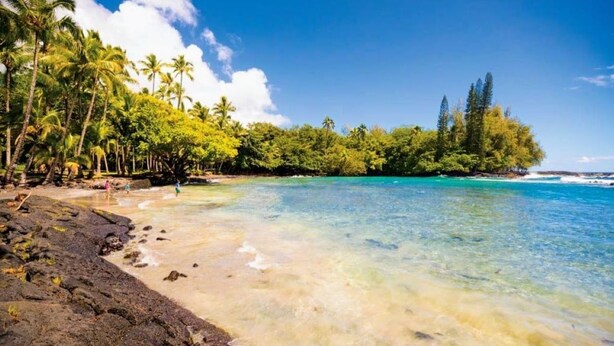A beach with clear turquoise water, palm trees, and rocky shoreline.
