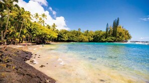 Una playa con agua turquesa cristalina, palmeras y costa rocosa.