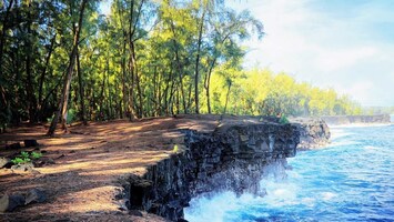Cliffs Kaloli Point, a 6-10 min walk from the home