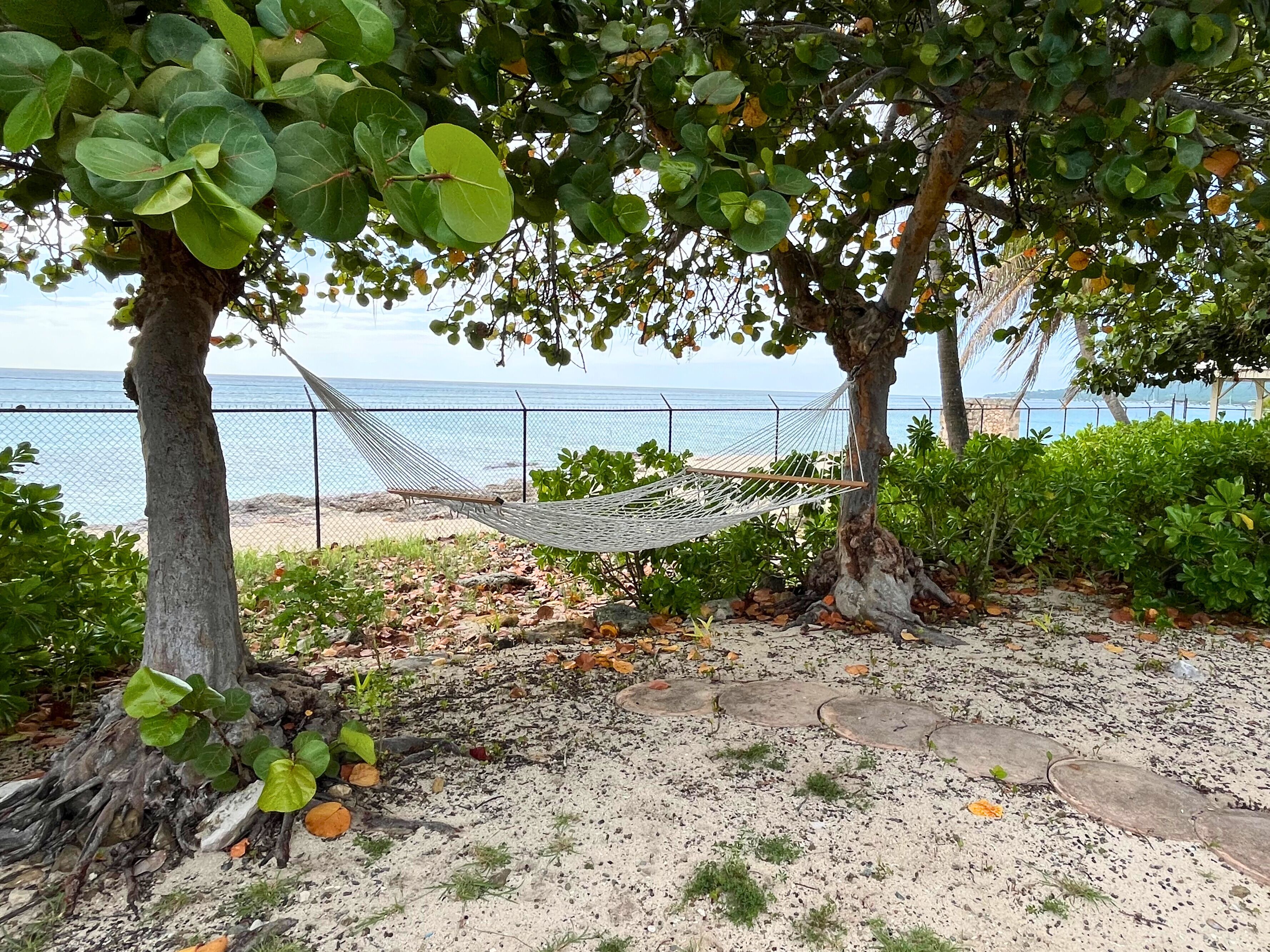 En hängmatta under träd nära en strand, med ett staket och en stenlagd stig.