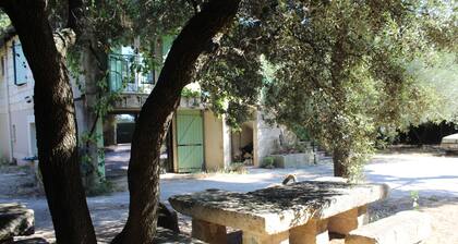 Le Mas de Lucien entre Arles,Nimes et Avignon