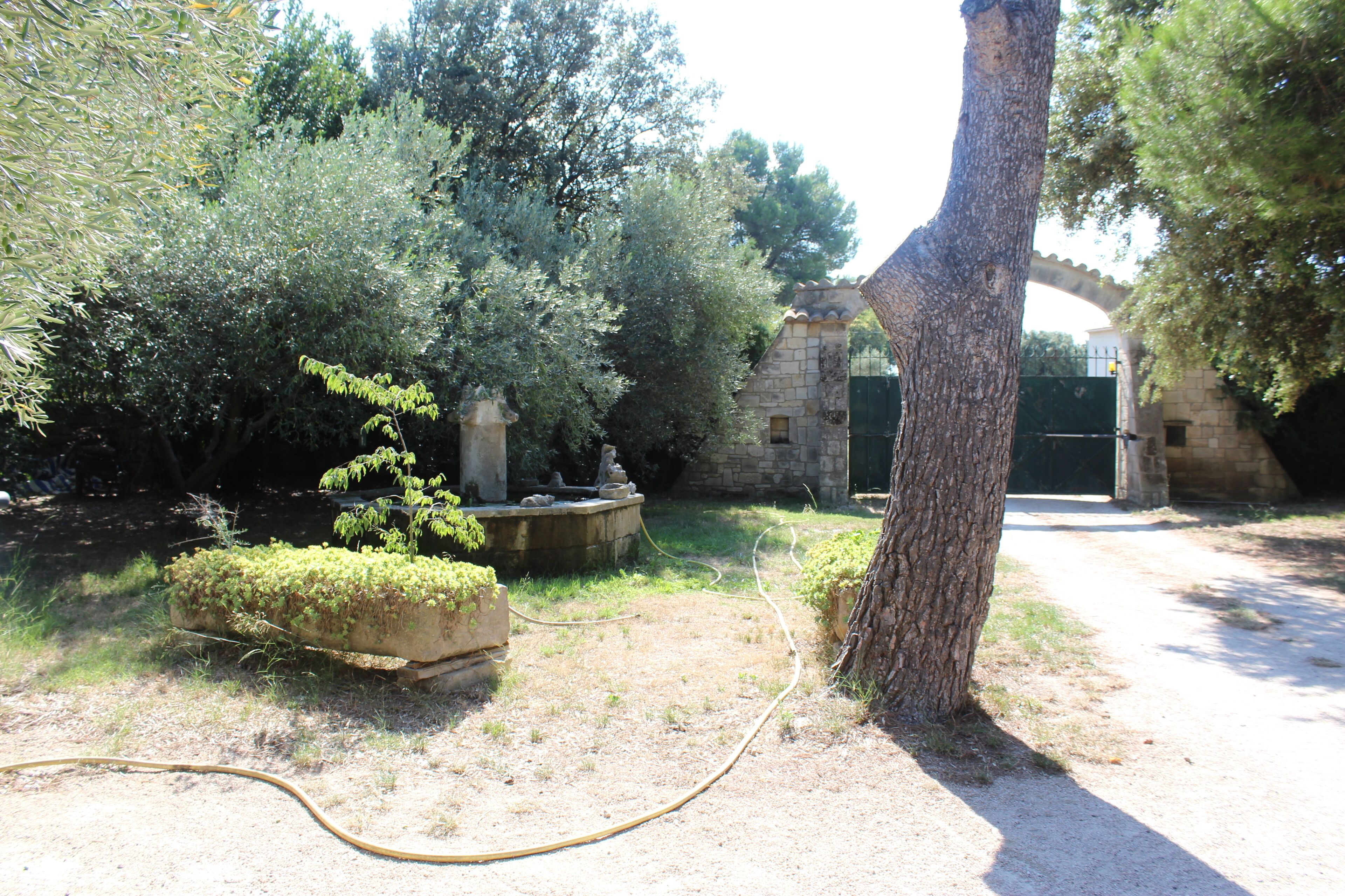 A garden with a stone pathway, a large tree, and a stone building with a green gate.