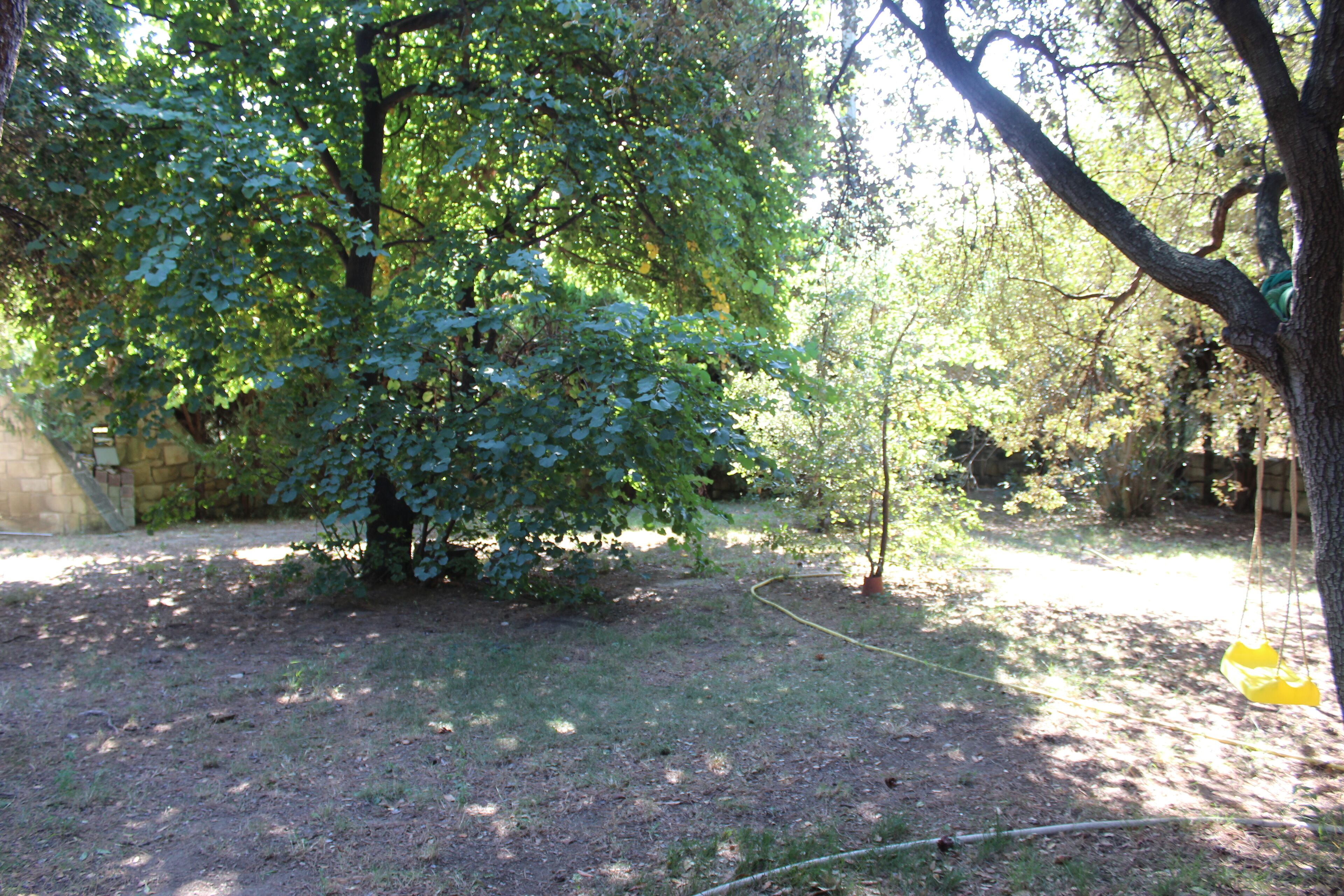 Un área boscosa con un columpio y una manguera.