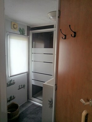 A narrow hallway with a door, a window, and a small plant on the wall.