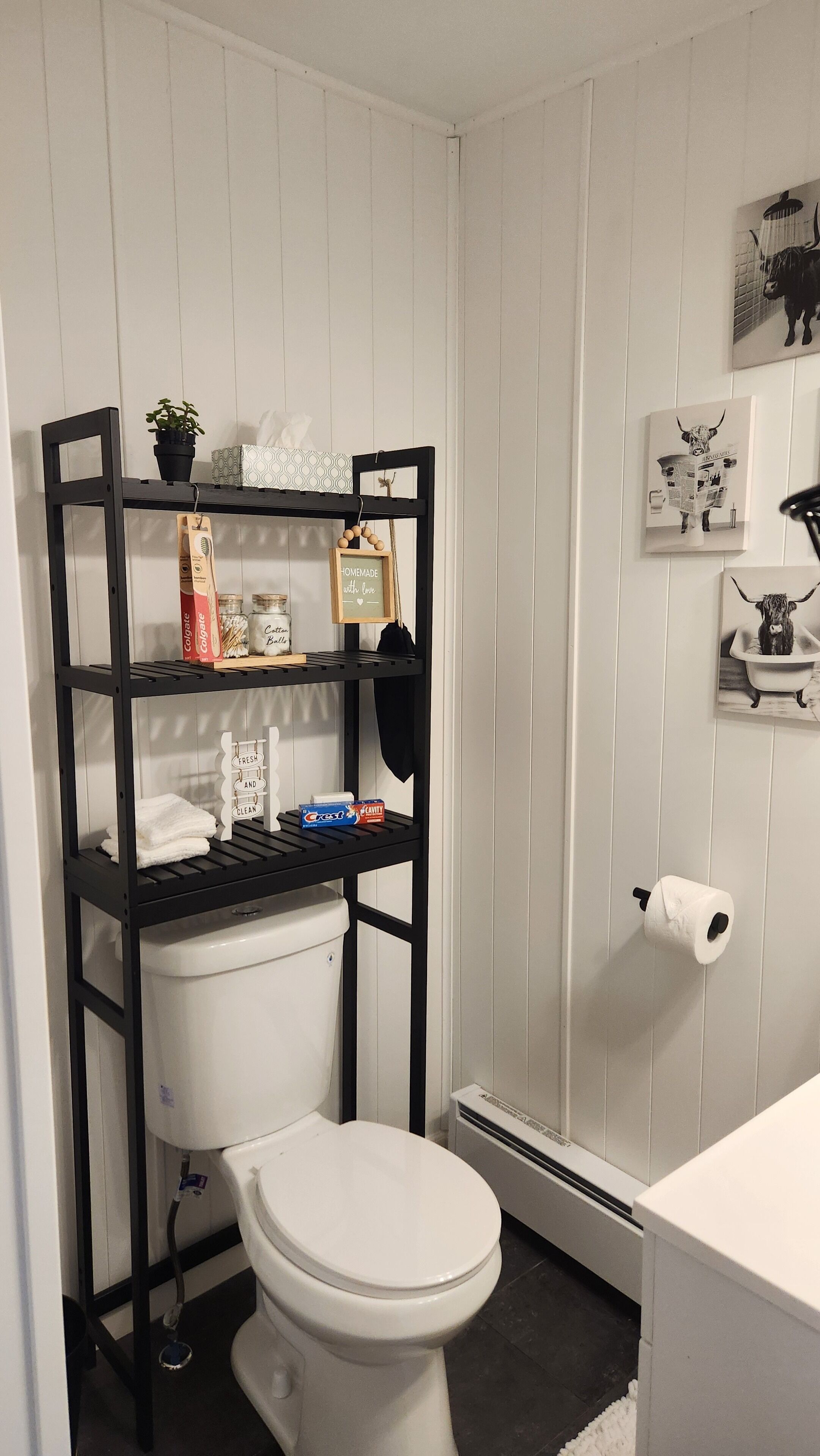 Ein Badezimmer mit Toilette, einer schwarzen Metallregaleinrichtung und einem Toilettenpapierhalter.