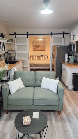 1 bedroom, iron/ironing board, WiFi, bed sheets. BRAND NEW! 1-bedroom apartment in the beautiful historic village of Greene, NY