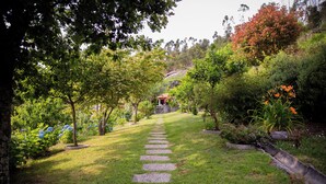 A stone pathway leading to a building surrounded by lush greenery and trees.