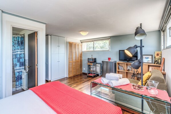 1 habitación, tabla de planchar con plancha, wifi y ropa de cama 