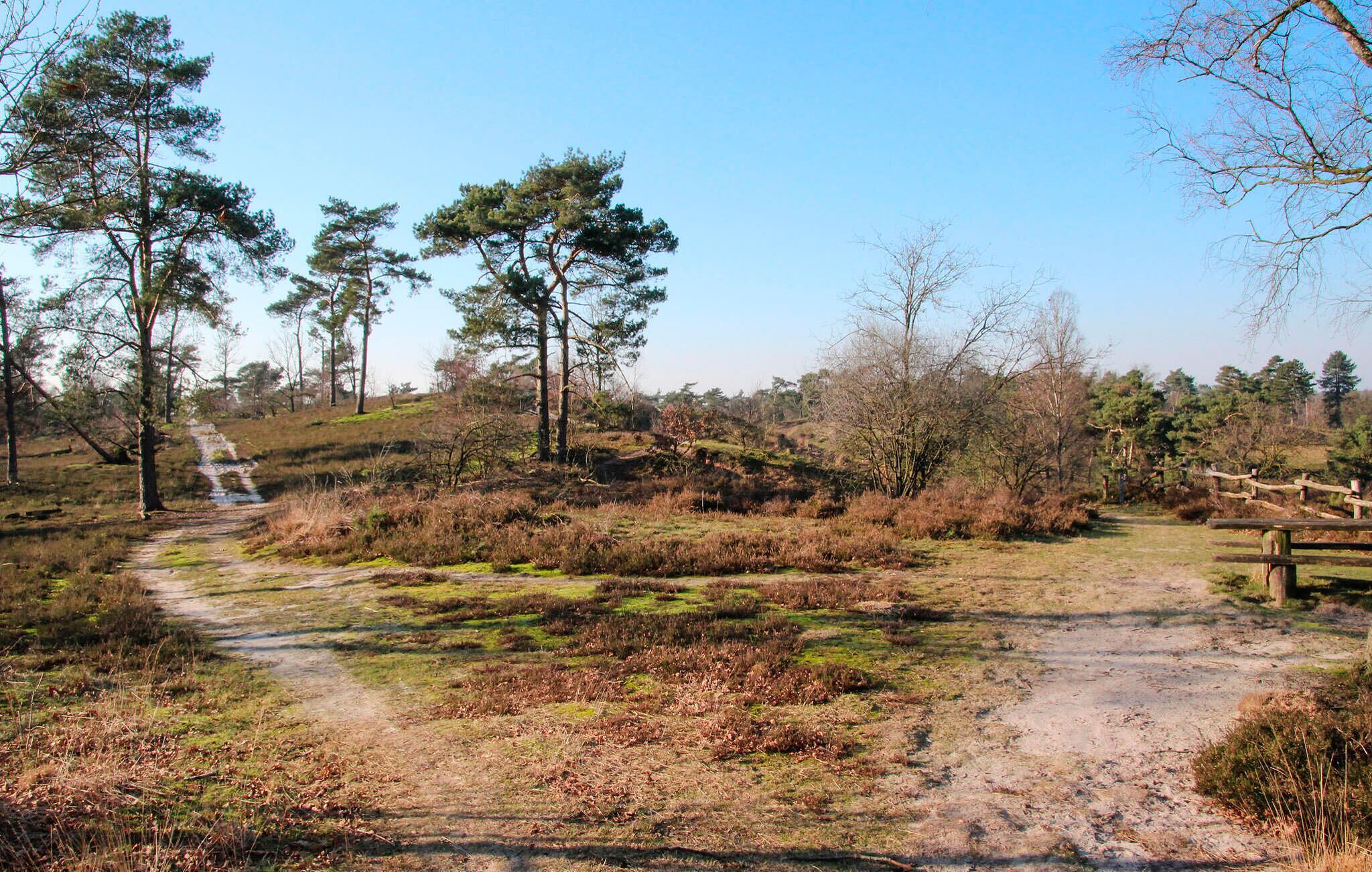 A dirt path leading through a natural landscape with trees and shrubs.