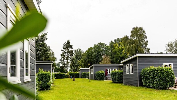 A row of mobile homes with a well-maintained lawn and surrounding greenery. - Detached Chalet for 5 People in Terwolde (Terwolde)