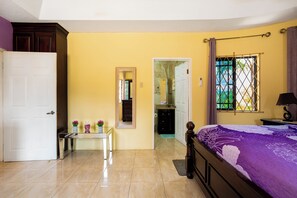 A bedroom with a bed, a desk, a mirror, and a wardrobe. - Elegant apartment with WiFi in safe , private area in Mandeville (Mandeville)