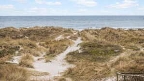 A coastal path leading to the sea with grassy dunes and a clear sky.